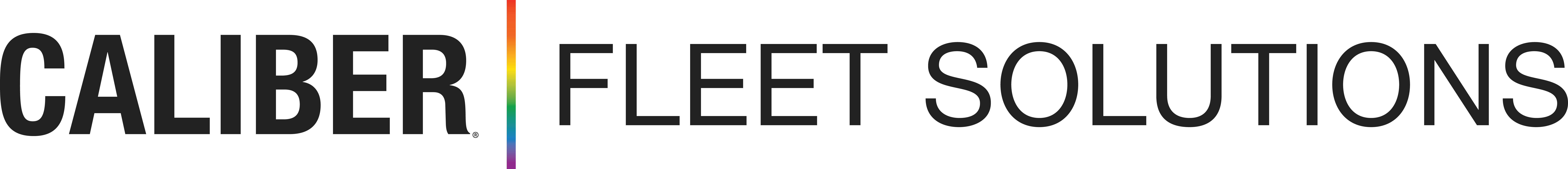 Caliber Fleet Solutions - Horizontal